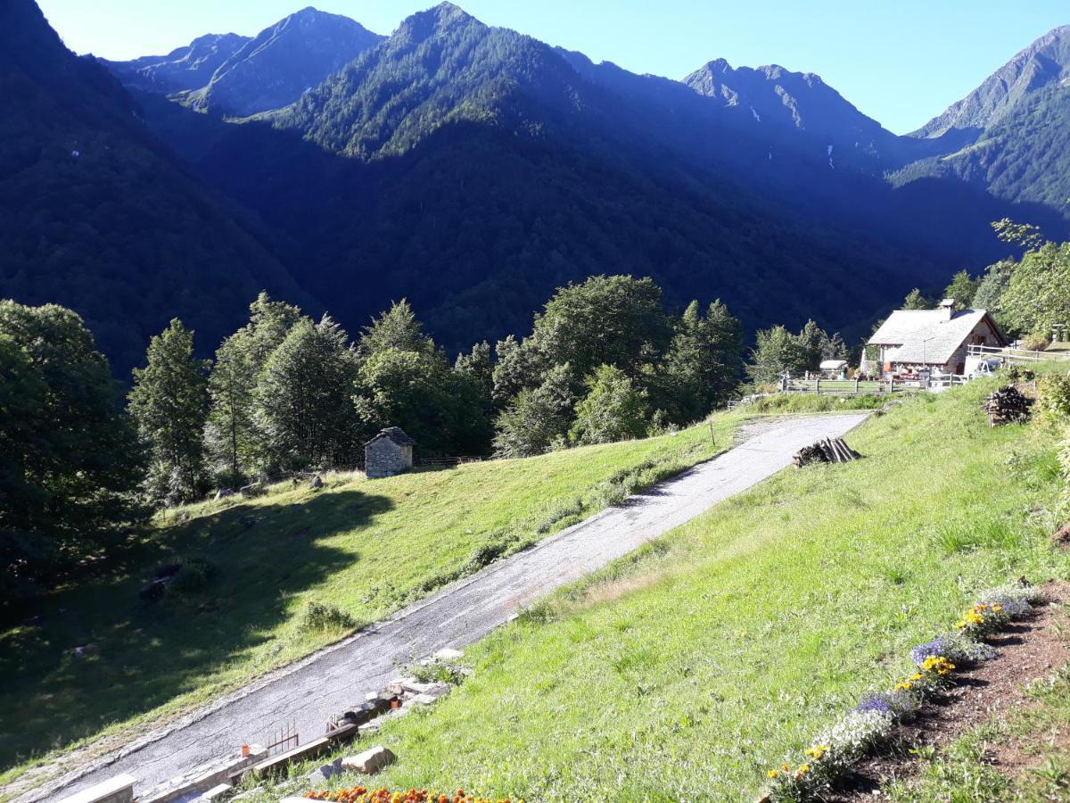Casa All'Alpe Anzino 외부 사진