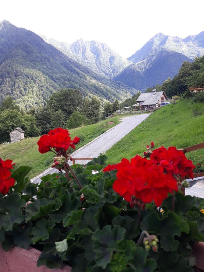 Casa All'Alpe Anzino 외부 사진