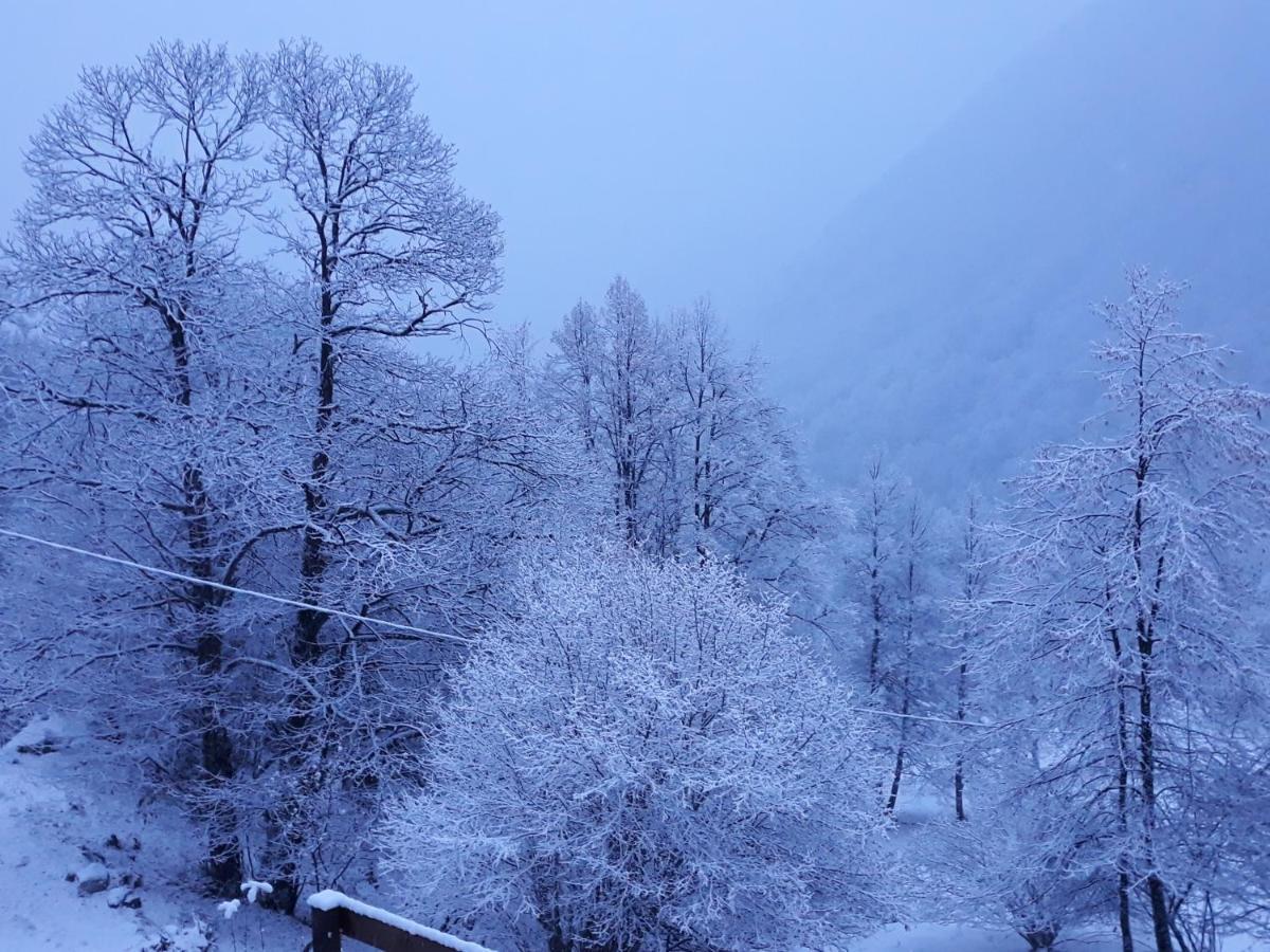 Casa All'Alpe Anzino 외부 사진