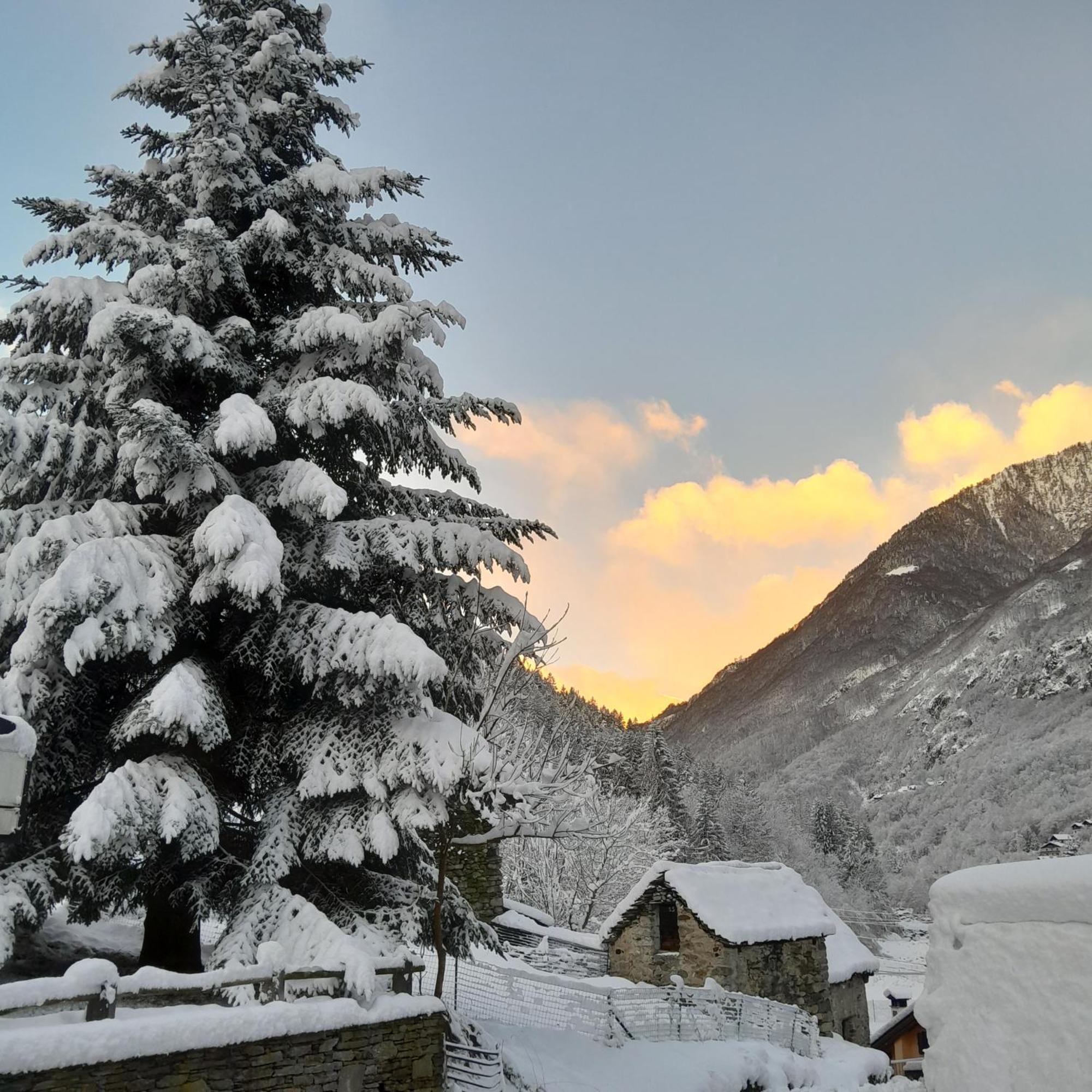 Casa All'Alpe Anzino 외부 사진